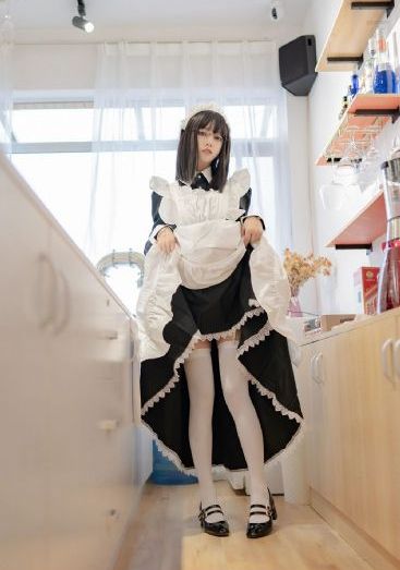 五哈第4季免费观看高清