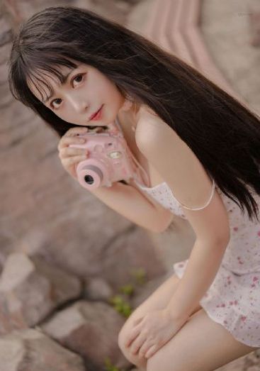 顶楼上的大象