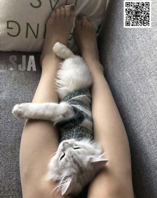 我们的翻译官 电视剧