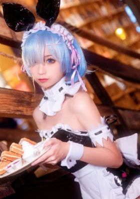 完美证据电视剧免费观看完整版